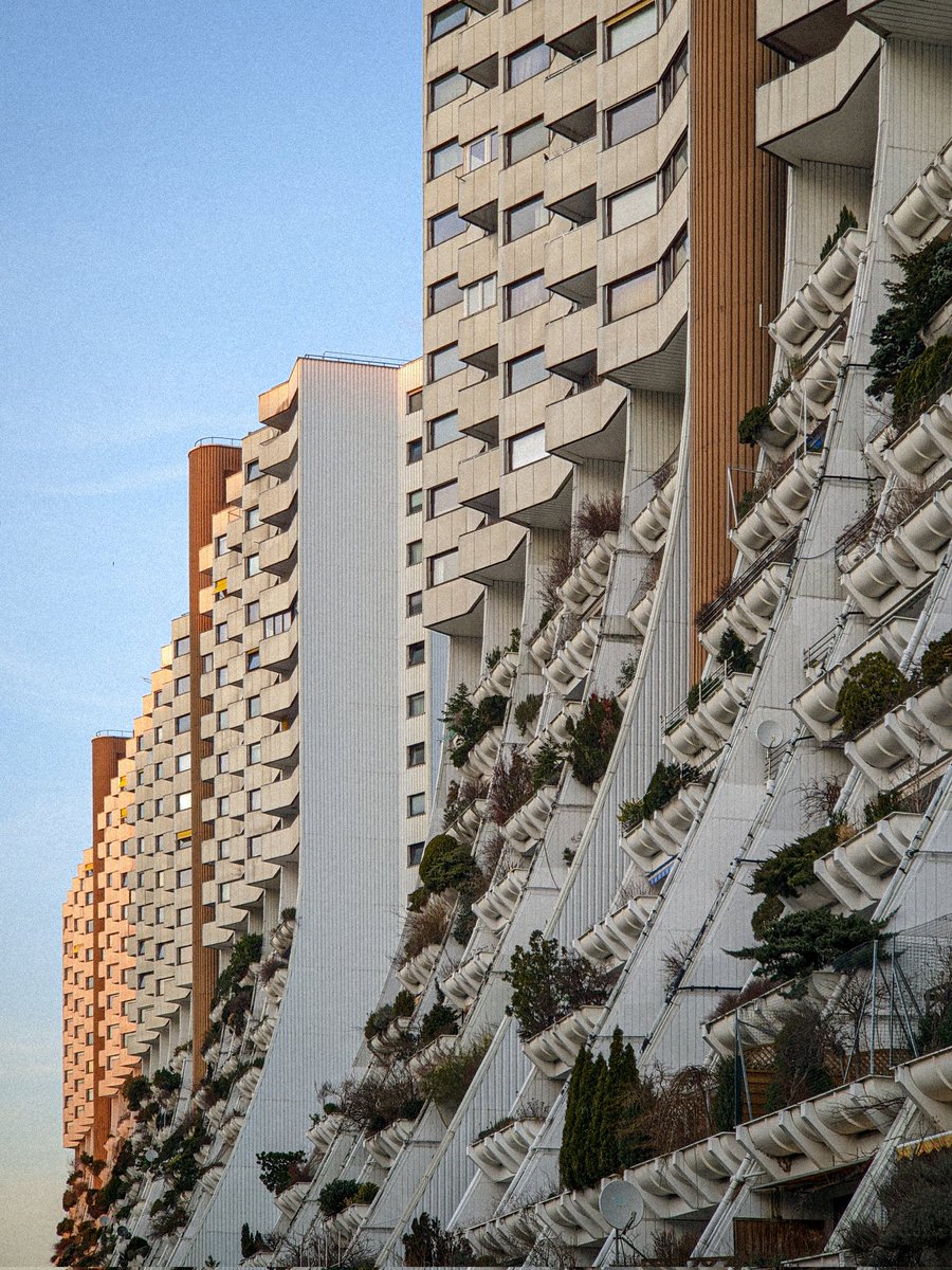 Petr ᶜᶻᐟᵘᵃ tweet media