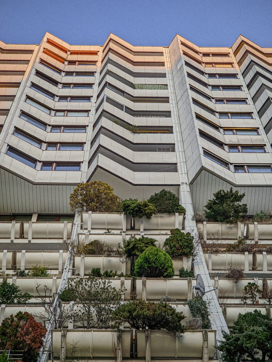 Petr ᶜᶻᐟᵘᵃ tweet media