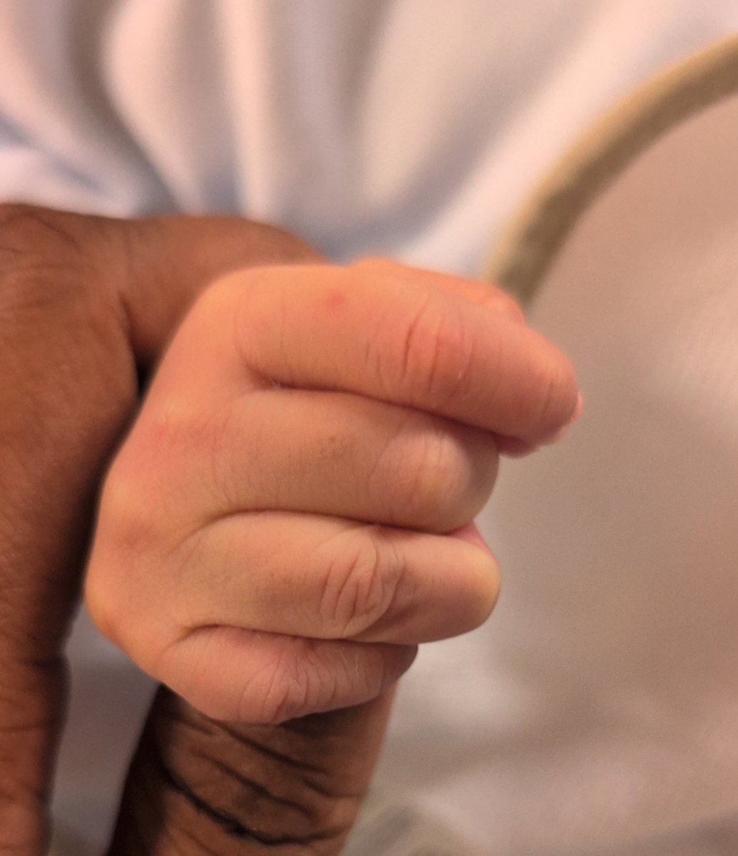 Titanium tweet media