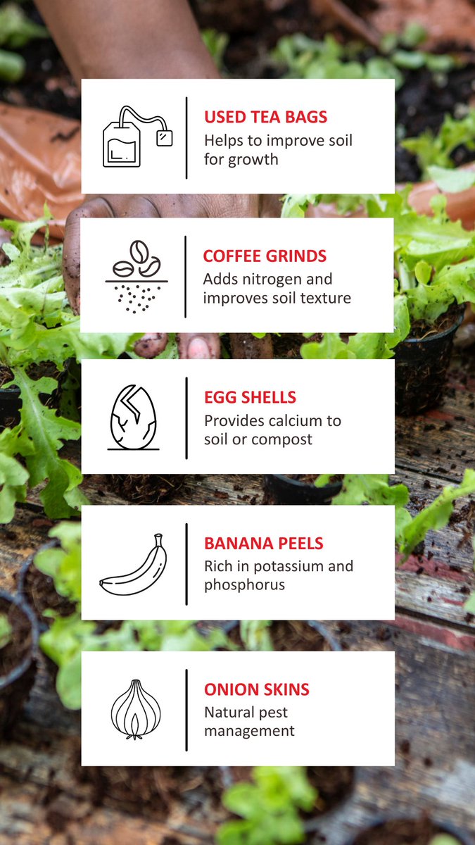 Shoprite Group tweet media