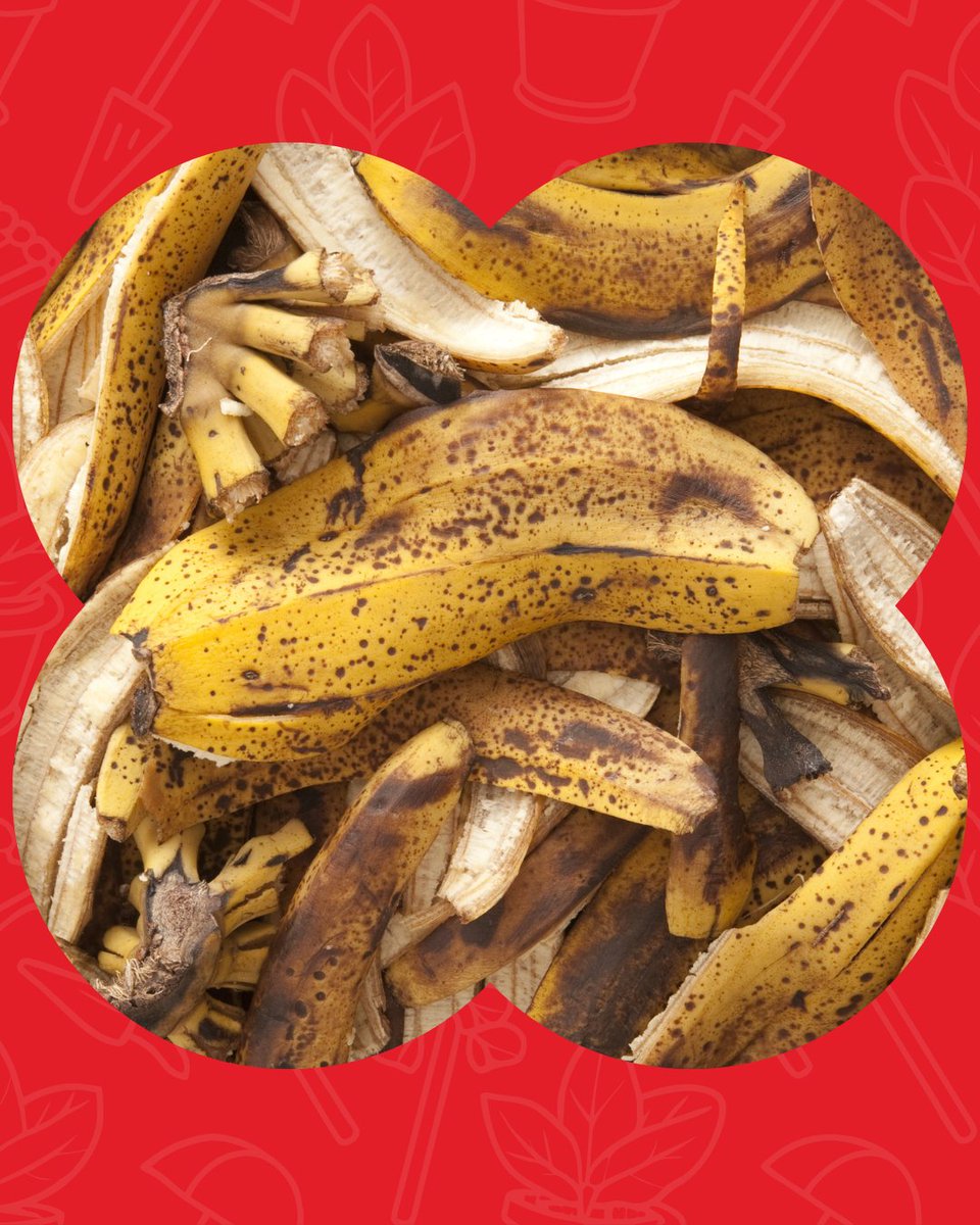 Shoprite Group tweet media