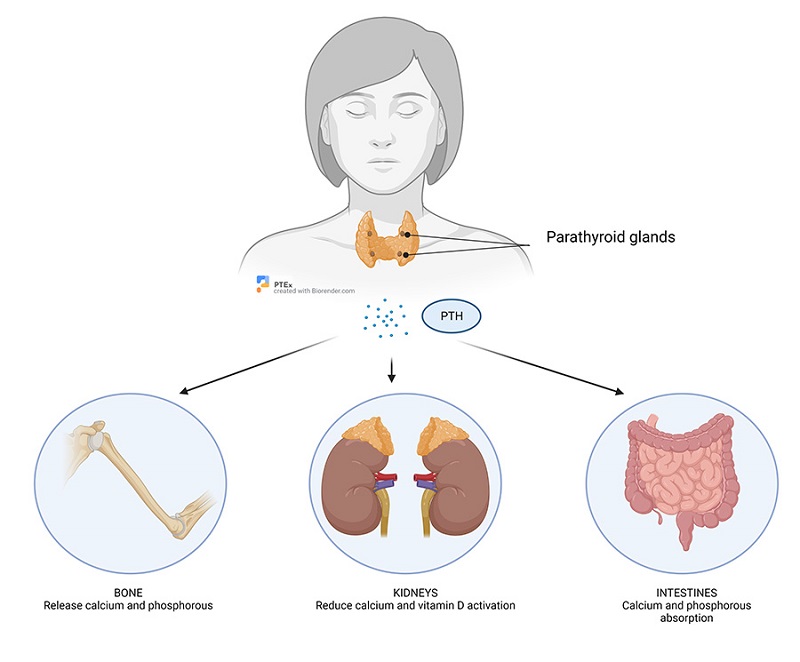 PathologyTestsExplained tweet media