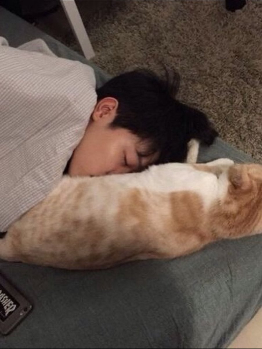 꼬순내가 여기까지 나