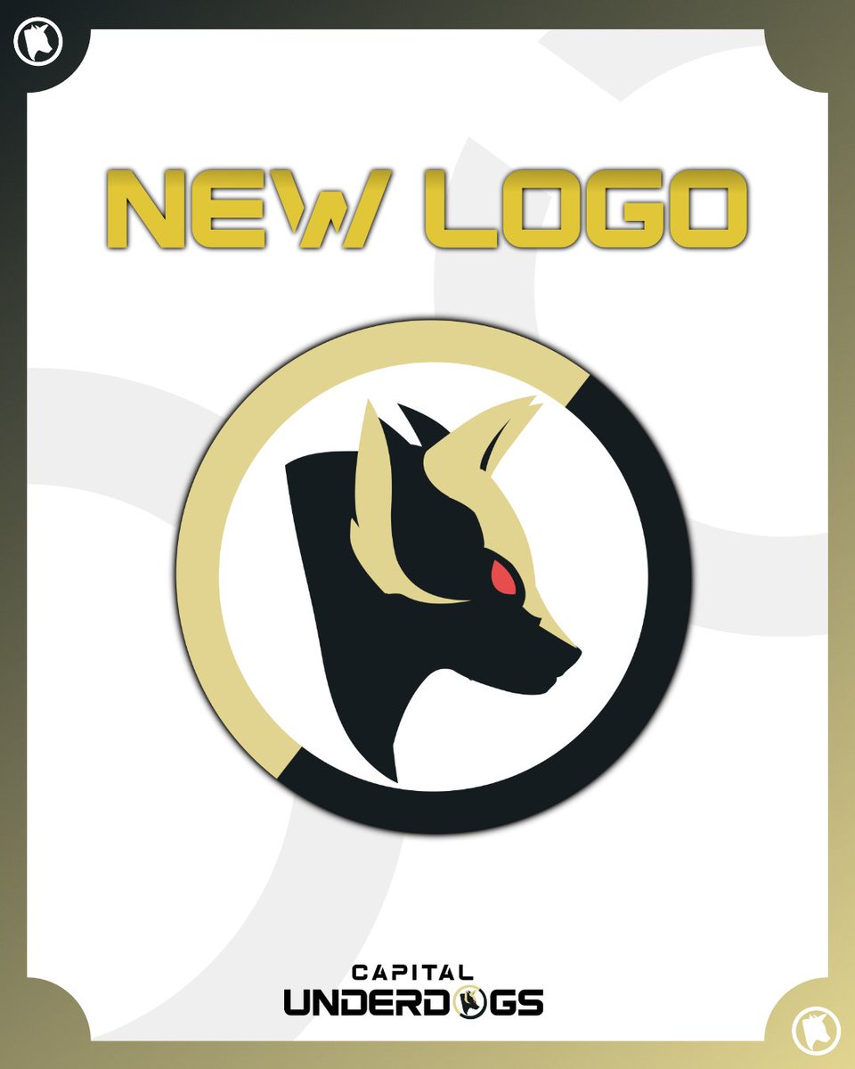 Capital Underdogs tweet media