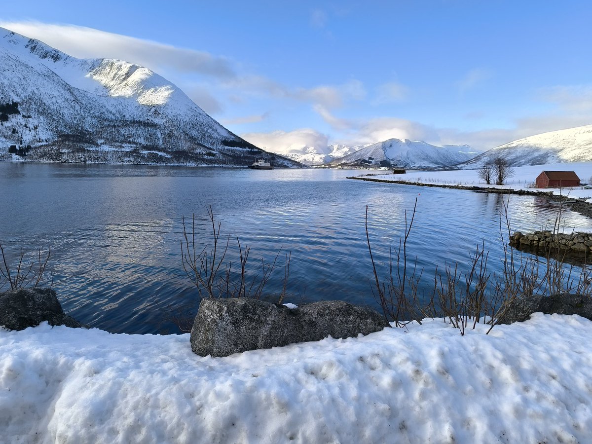 LeoSantisteban's tweet photo. Hei! 🇳🇴 #noruega #islasvesteralen https://t.co/nXmr6ubS0Y