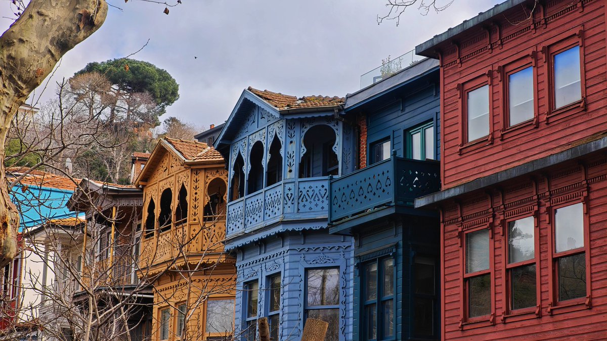 Polina S tweet media