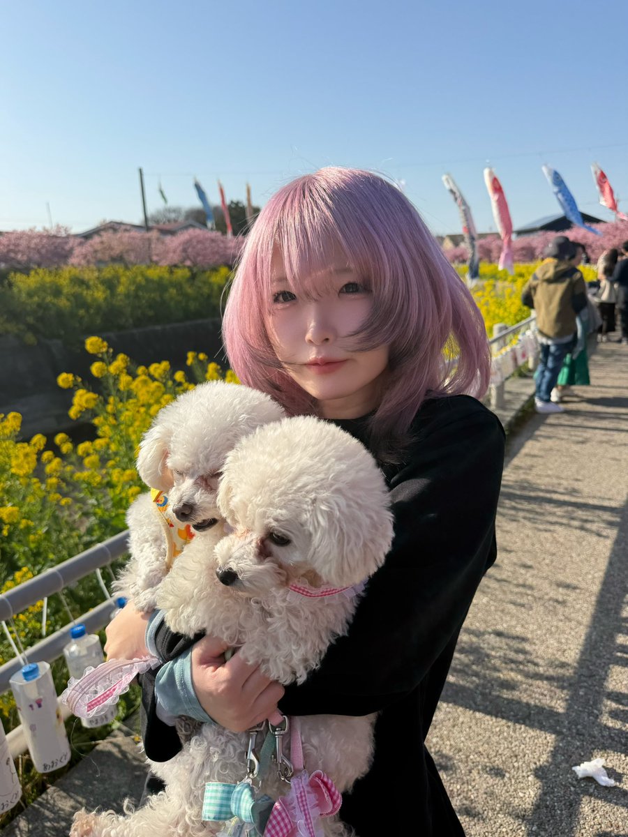 ここな (@cocona_kamone) / Highlights / X