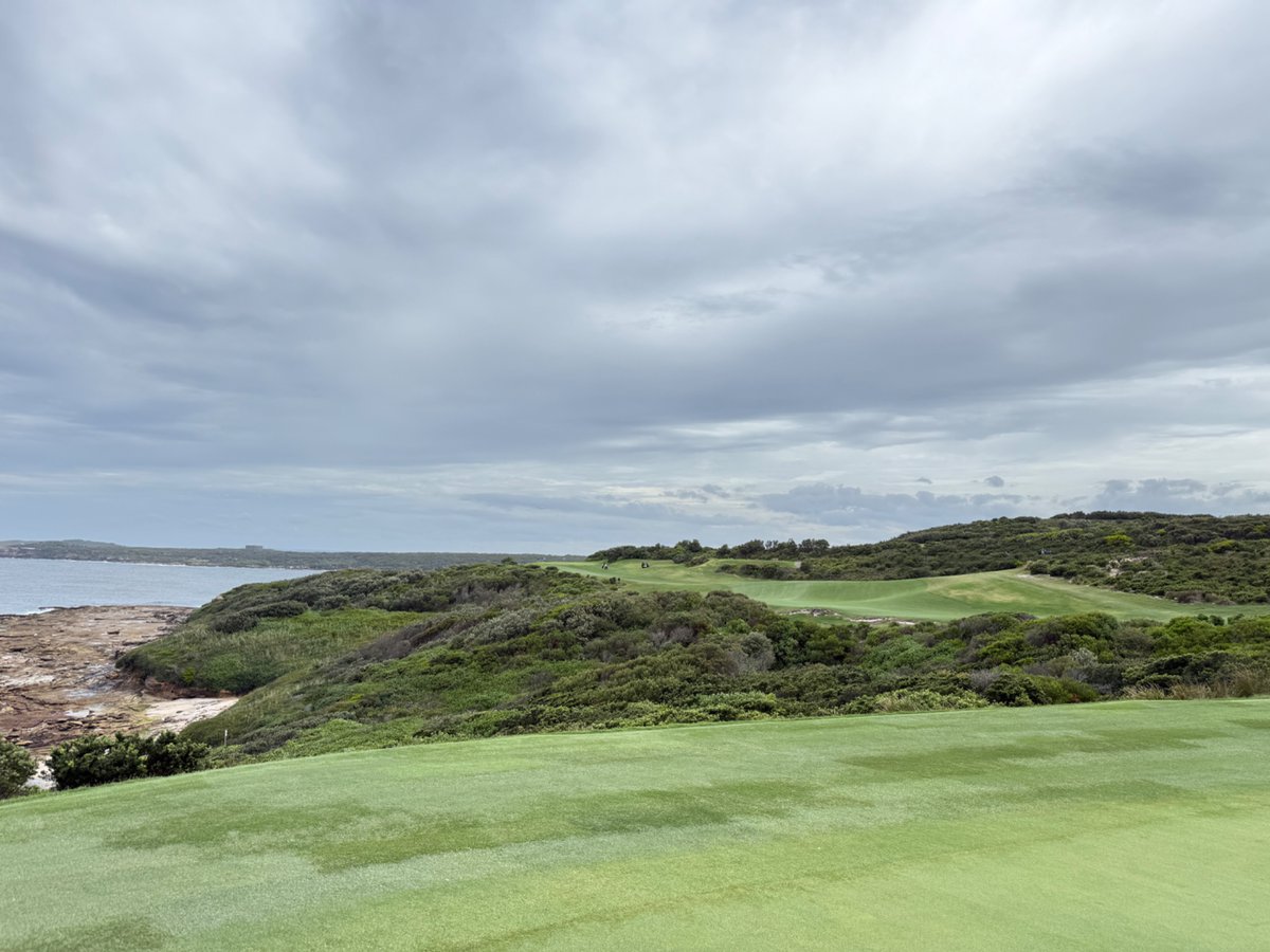 Rick Golfs tweet media