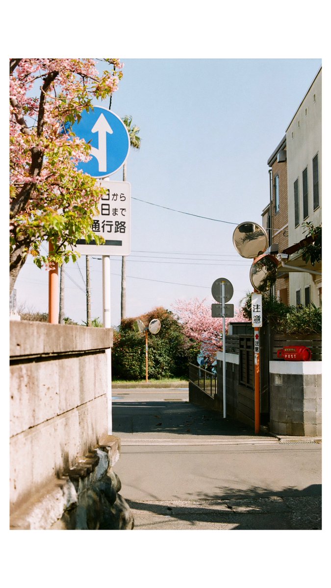 汽澄 tweet media