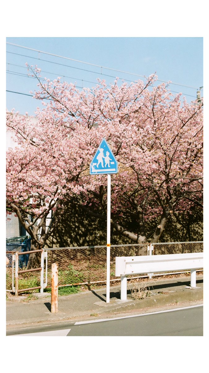 汽澄 tweet media