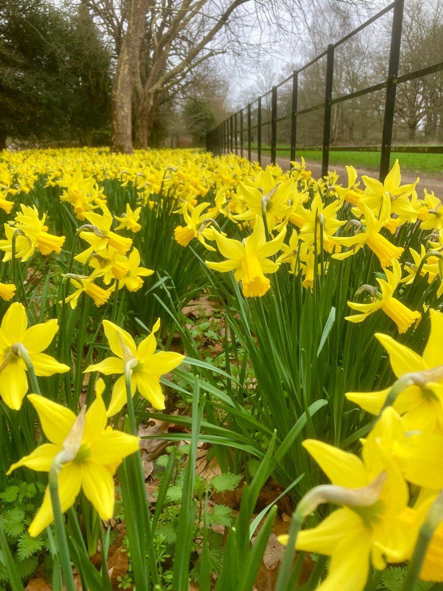 Bucks Country Parks tweet media