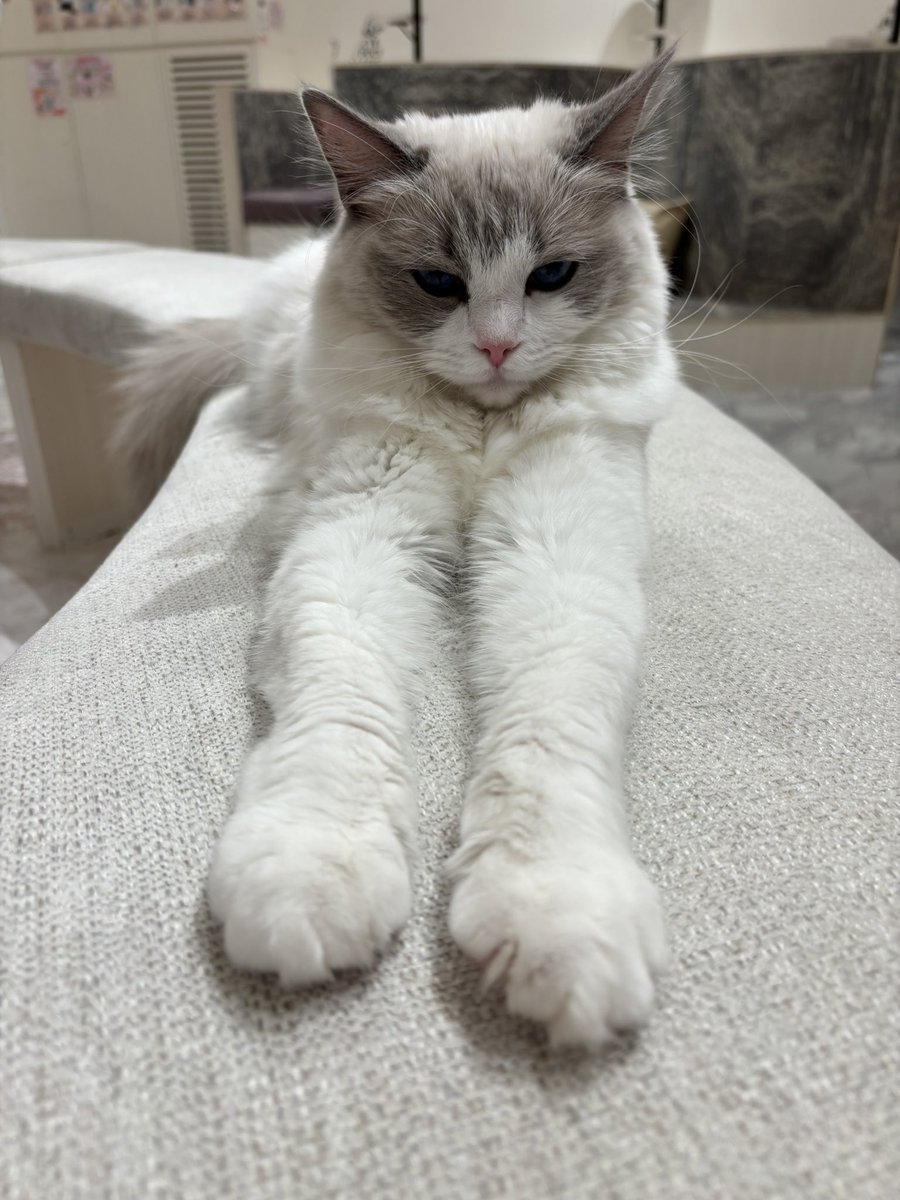 mZwun0's tweet photo. かわいかった https://t.co/iGmHp9kz33