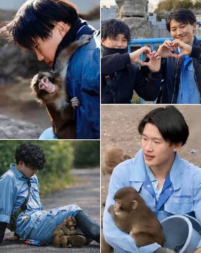 Trending Ants tweet media