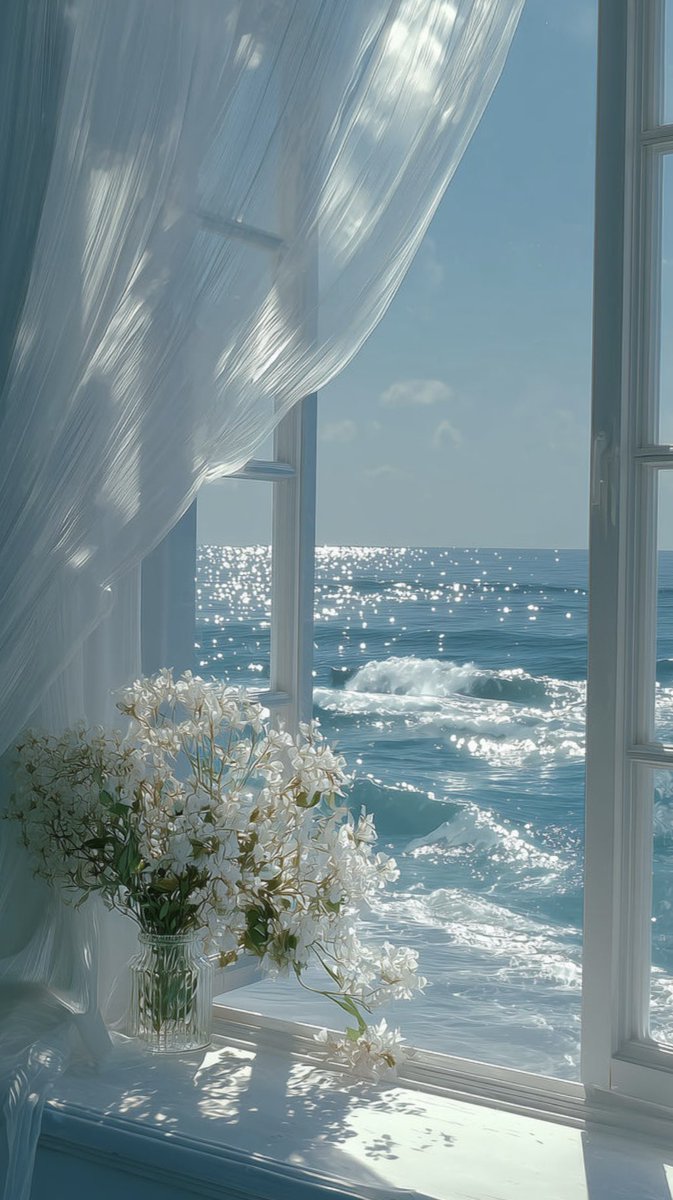 سيسيليا tweet media