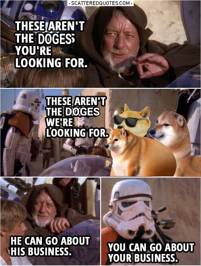 OIdManDoge2 tweet media