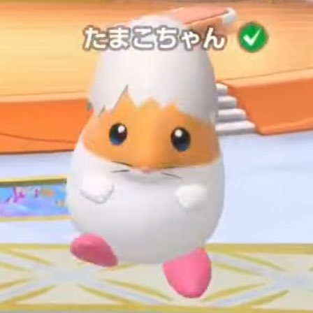 ハムちゃんたち可愛かったな~~