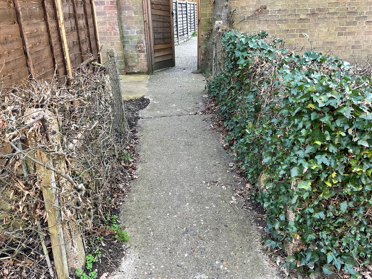 Mogsiemus tweet media