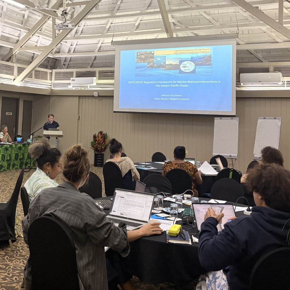 International Whaling Commission tweet media