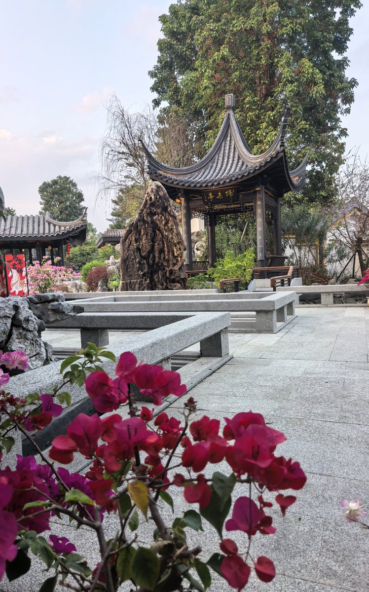 Hug（蓝V互关） tweet media