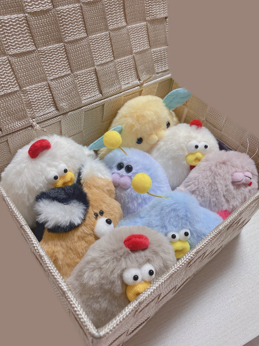 funwari_protect's tweet photo. イージーくんに貸してるお部屋がぎゅうぎゅうになってきたから新しい物件探したい
#異星イージーくん https://t.co/PboCTGHxvj