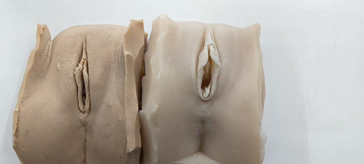 SENSBODY魔人 tweet media