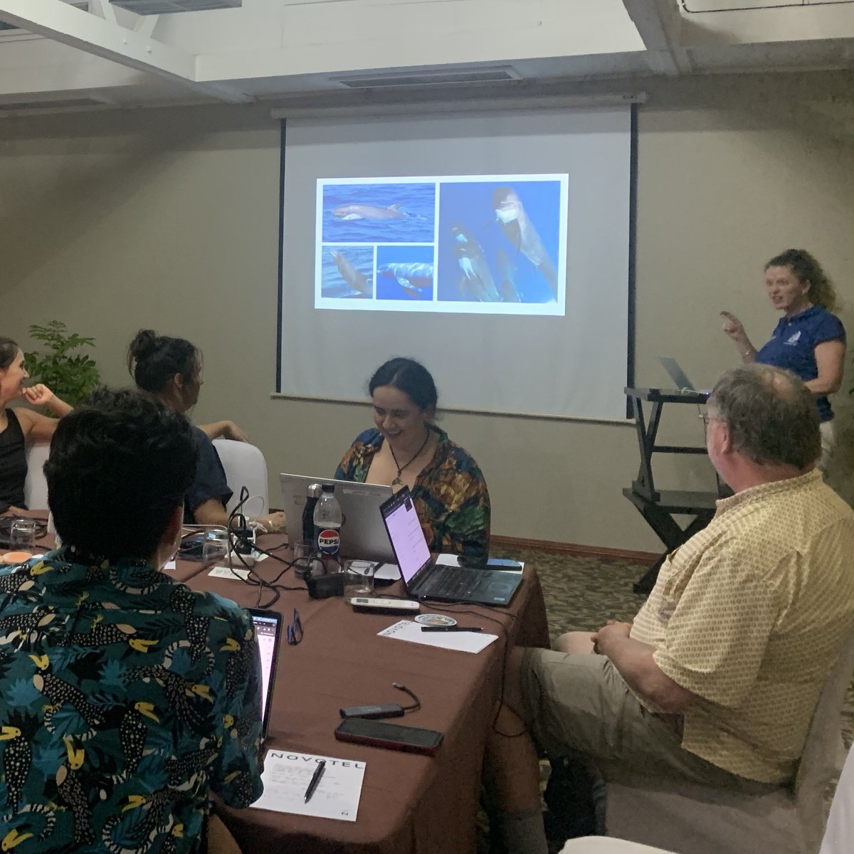 International Whaling Commission tweet media