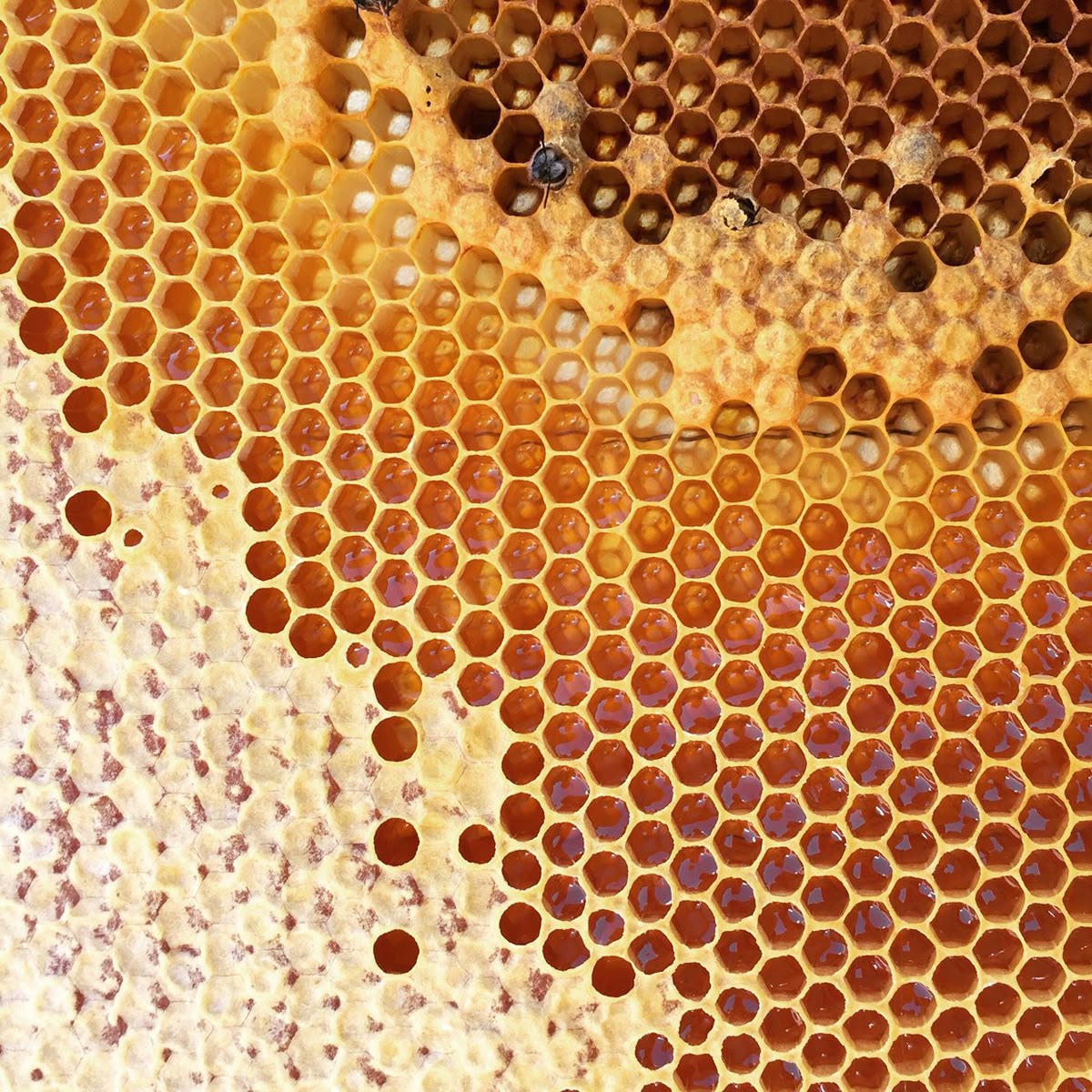 Against Atheism tweet media