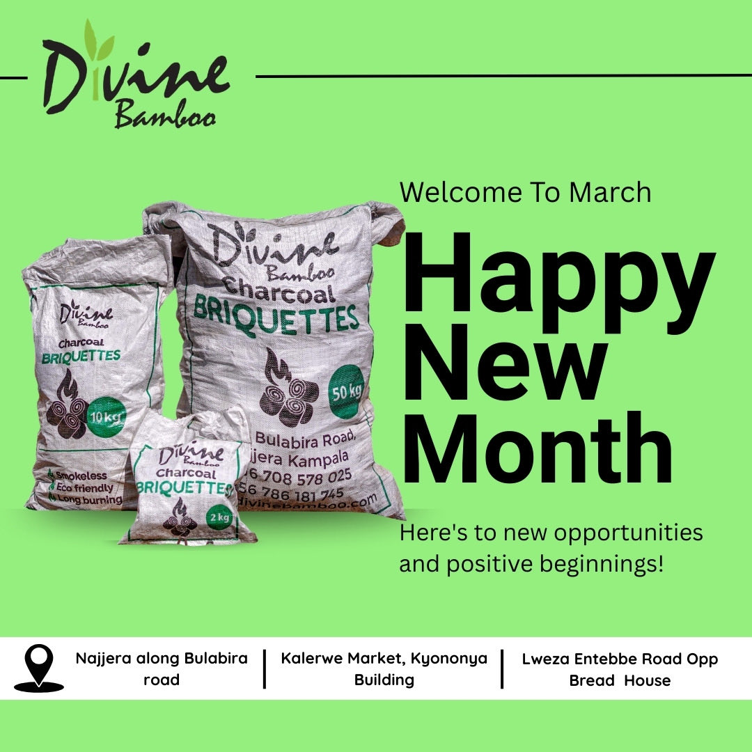 Divine Bamboo tweet media