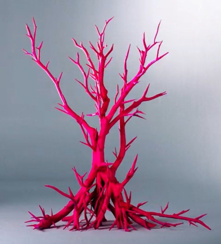 /ᐠ•｡•ᐟ\ tweet media