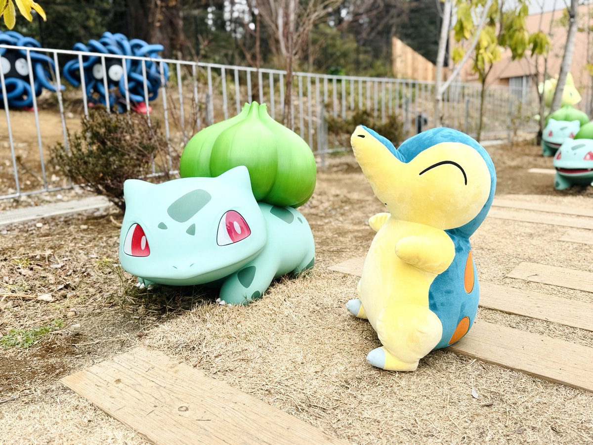 フシギダネとフシギソウとヒノアラシ #ポケパークカントー