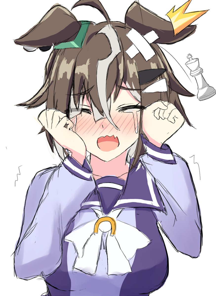 おやおや。 シップは可愛いですね