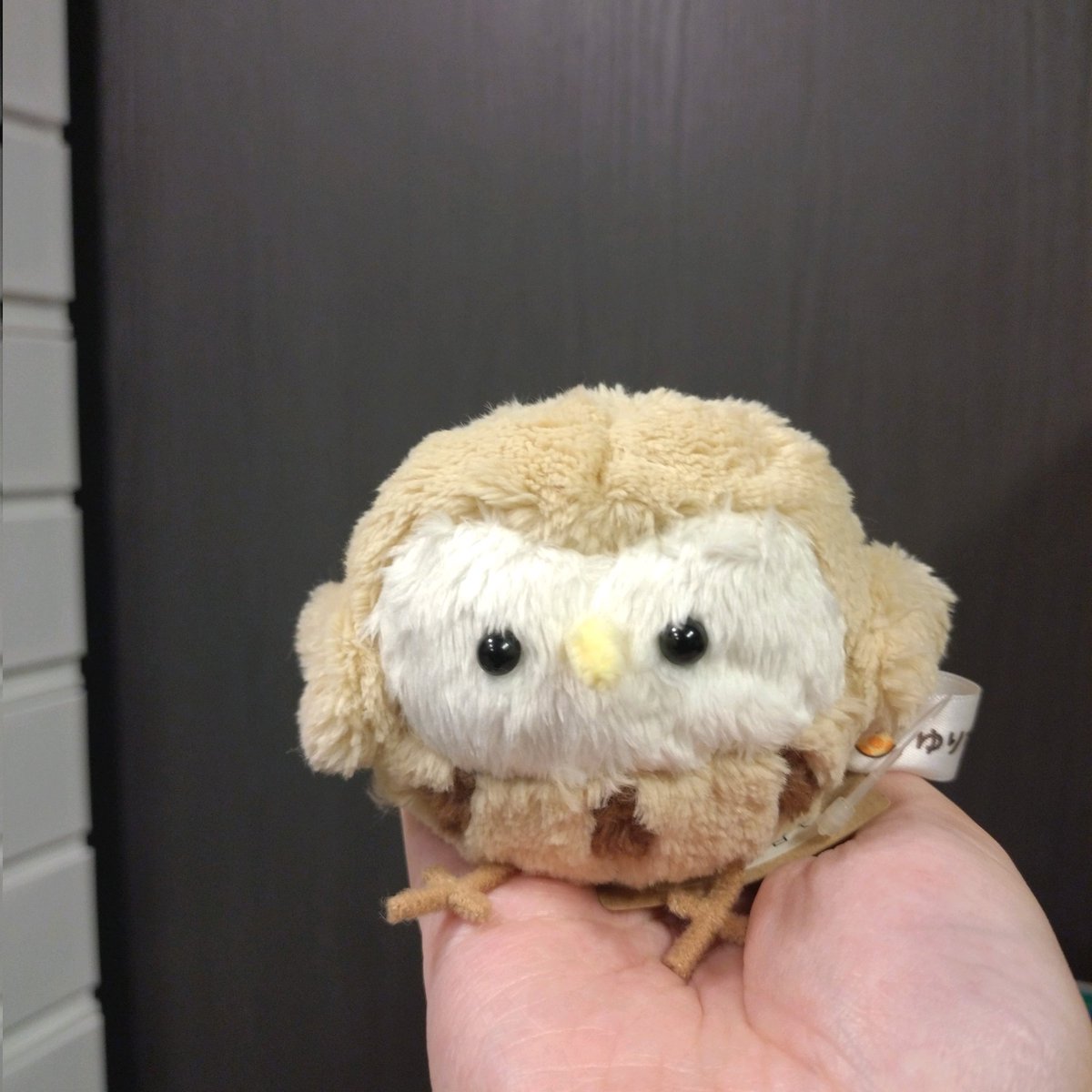 CARAMEL_MUSEUM ふくろうちゃんとみみずくちゃん お耳だけ…？と思いき