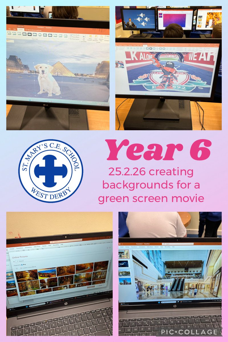 Melissa Shaw tweet media