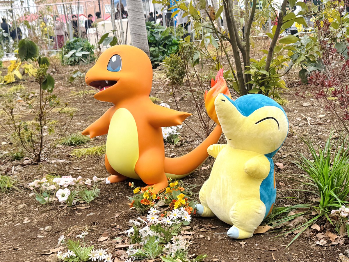 リザードン＆ヒトカゲとヒノアラシ #ポケパークカントー