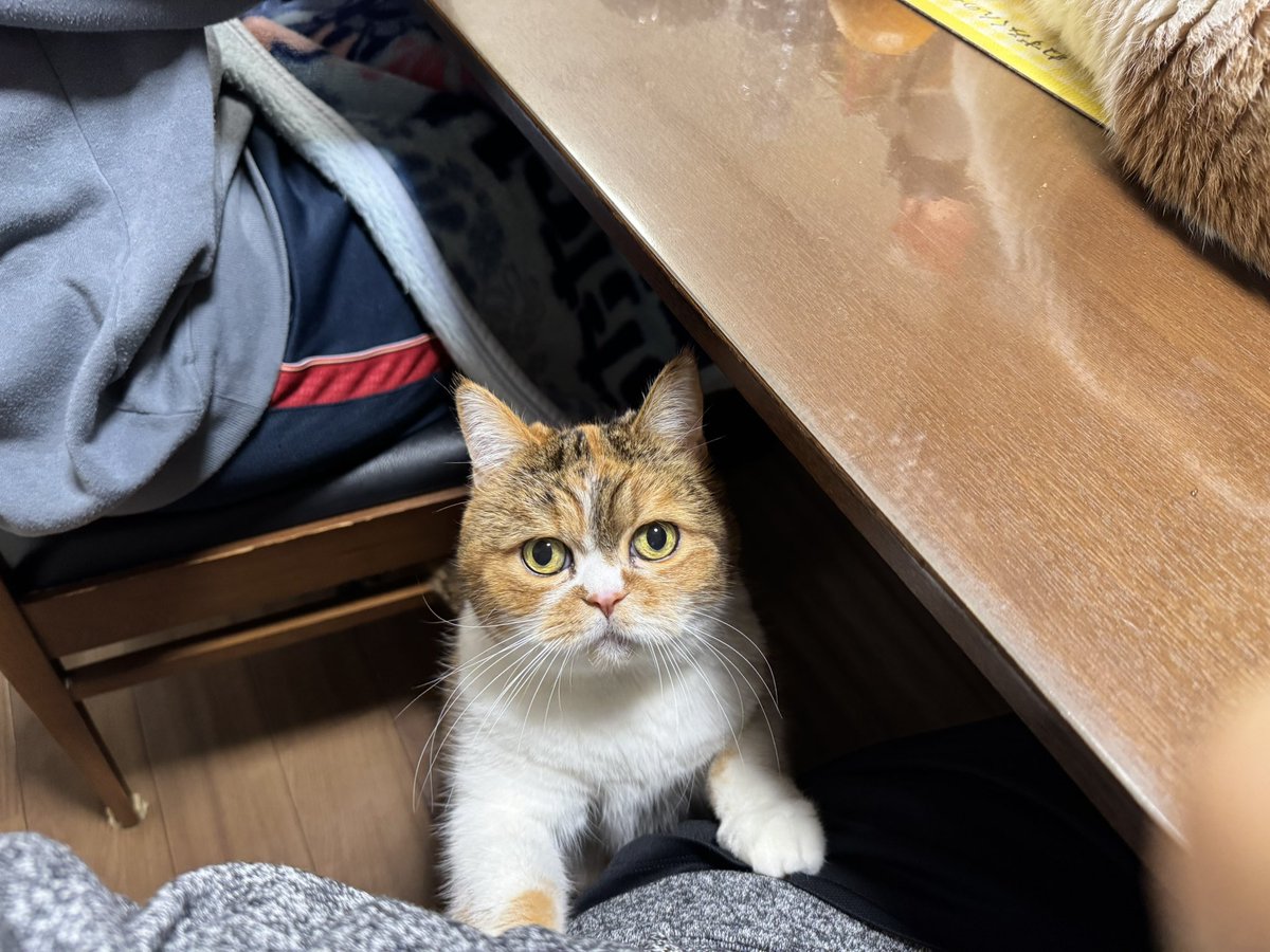 JZ5 (@jz5) / Posts / X