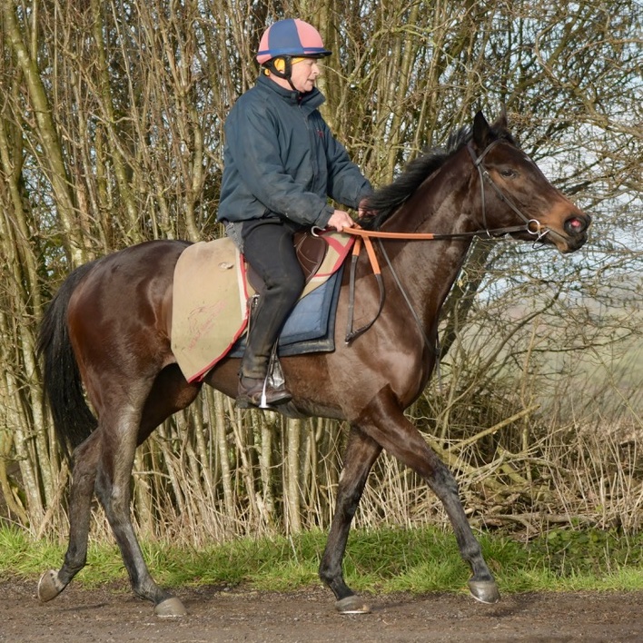 olivercoleracing tweet media