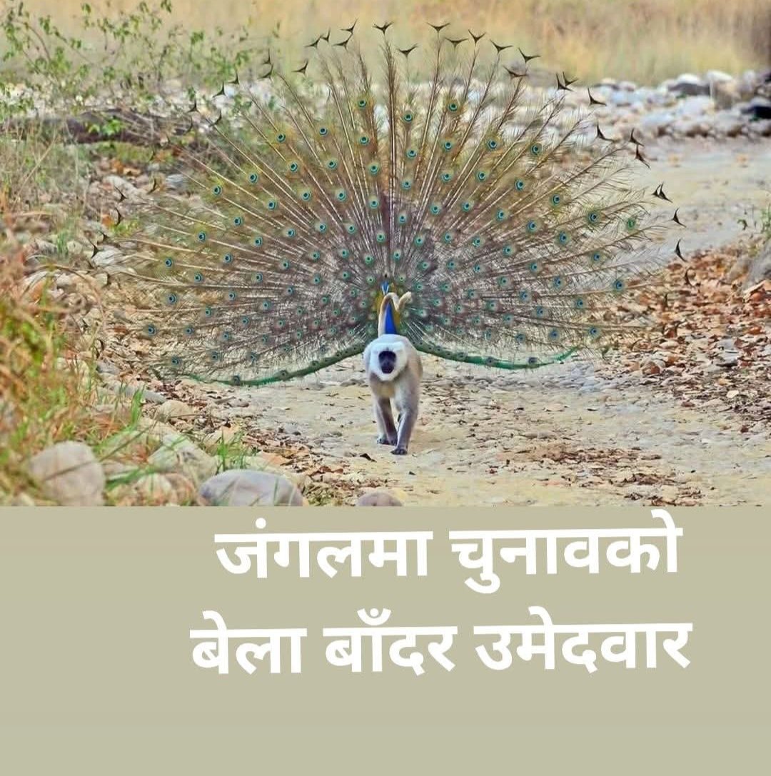 निकेश (@nik_ad) on Twitter photo 