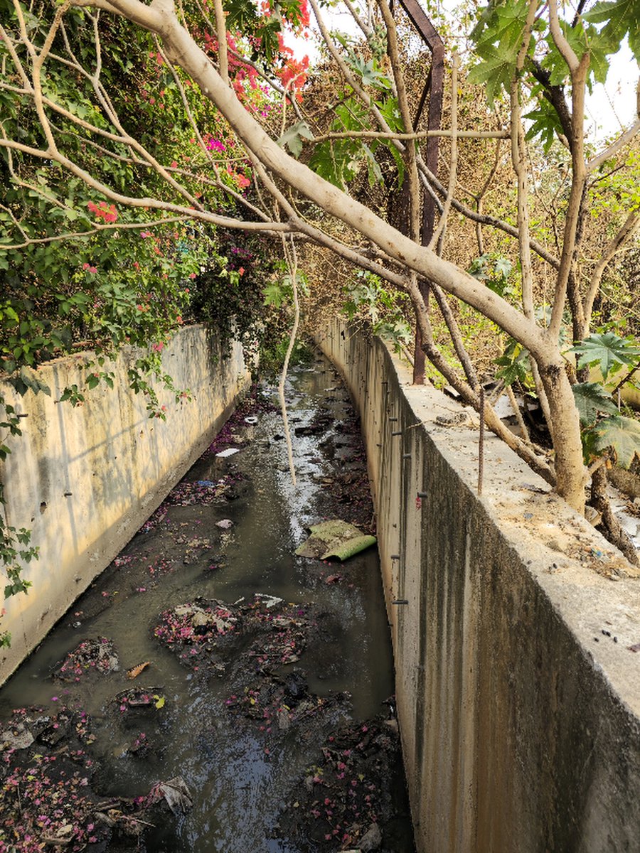 wise_owl2021's tweet photo. Area : 16th A mani AECS LAYOUT SINGASANDRA BANGALORE 560068. This is the Bangalore's urban development!! Where they made huge drainage/ kulave. And then there is no maintenance nothing. It has extremely foul smell. Near by residencs are struggling everyday. This place has local counselor but it seems that person is not bothered. 460068 corruption#mafia#bbmp