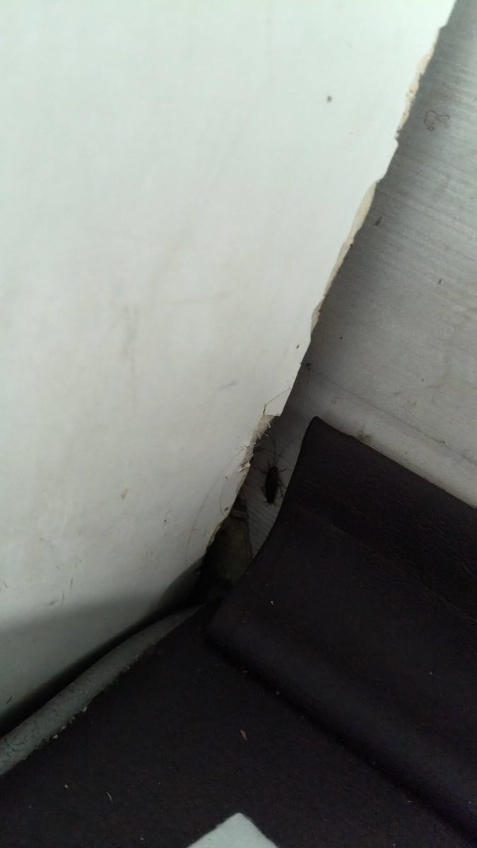 amitkinwar's tweet photo. there are many cockroaches on the train i am traveling right now. The quality of the travel by train has been going down. unable to take rest due to this scare, this is really bad @RailMinIndia @RailwaySeva https://t.co/cZoDPvarMU