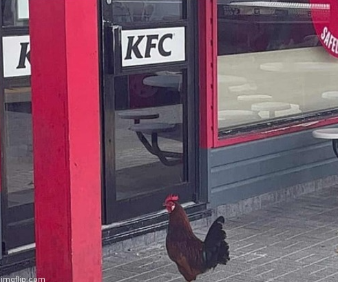 SON 😭😭😭😭😭😭😭