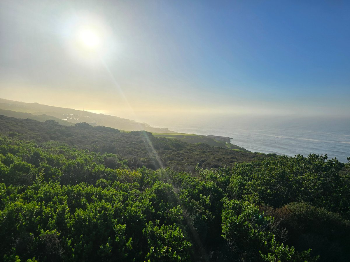 PinnaclePointEstate tweet media