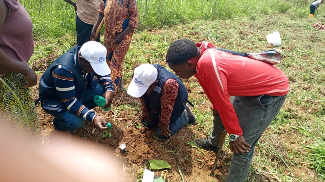 AfH_drc's tweet photo. À Beni, #ActionForHealth intensifie ses actions de sécurité alimentaire pour prévenir la malnutrition et soutenir les ménages vulnérables. #Nutrition #RDC https://t.co/aJd82qzaAz