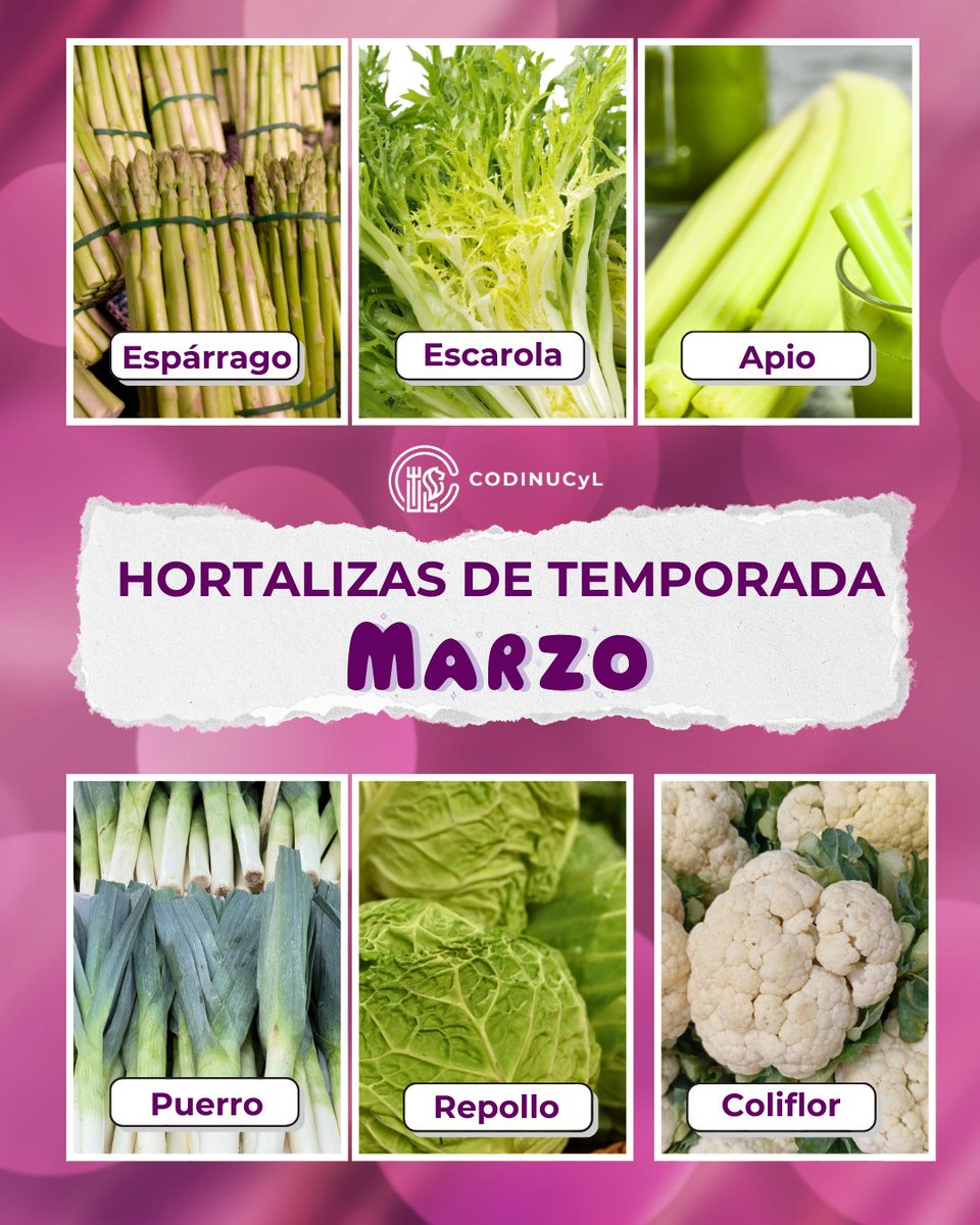 CODINUCyL tweet media