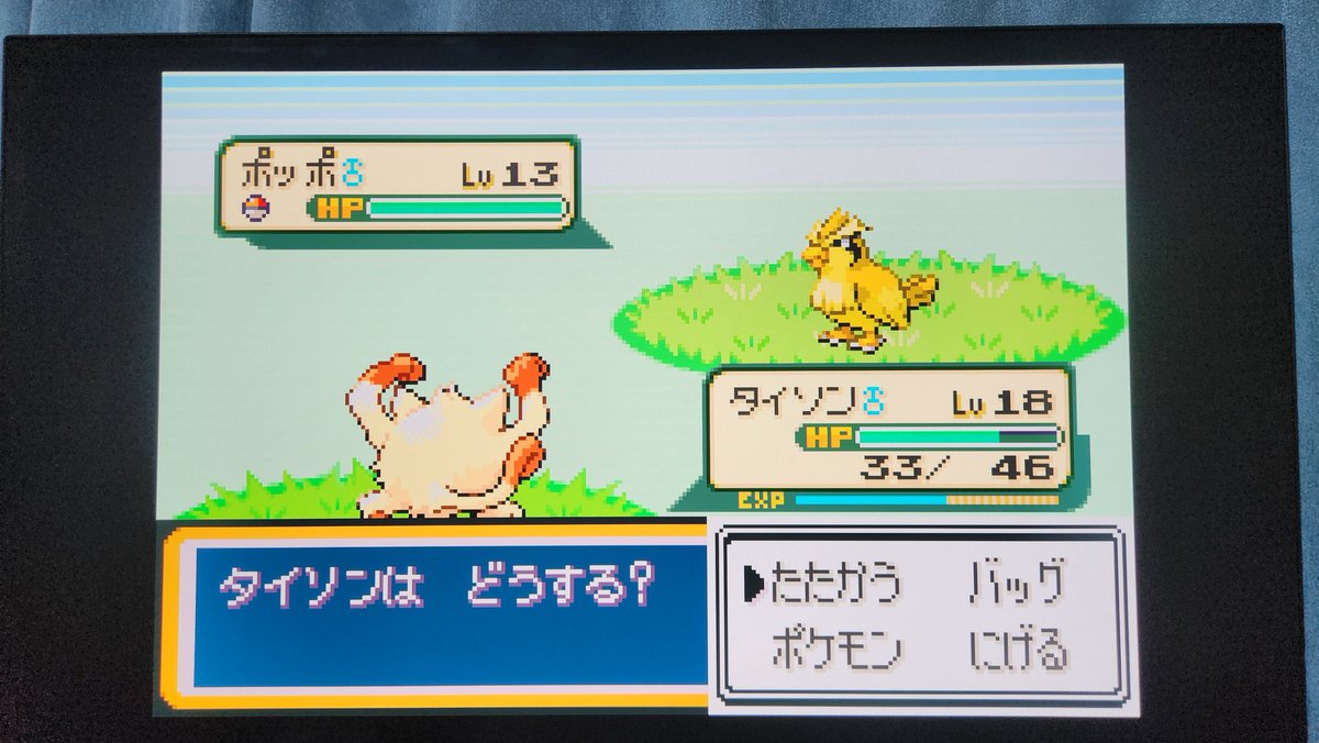 npkaichou's tweet photo. 色違いのポッポ出てきたwwww
#FRLG https://t.co/DcgvELnfza