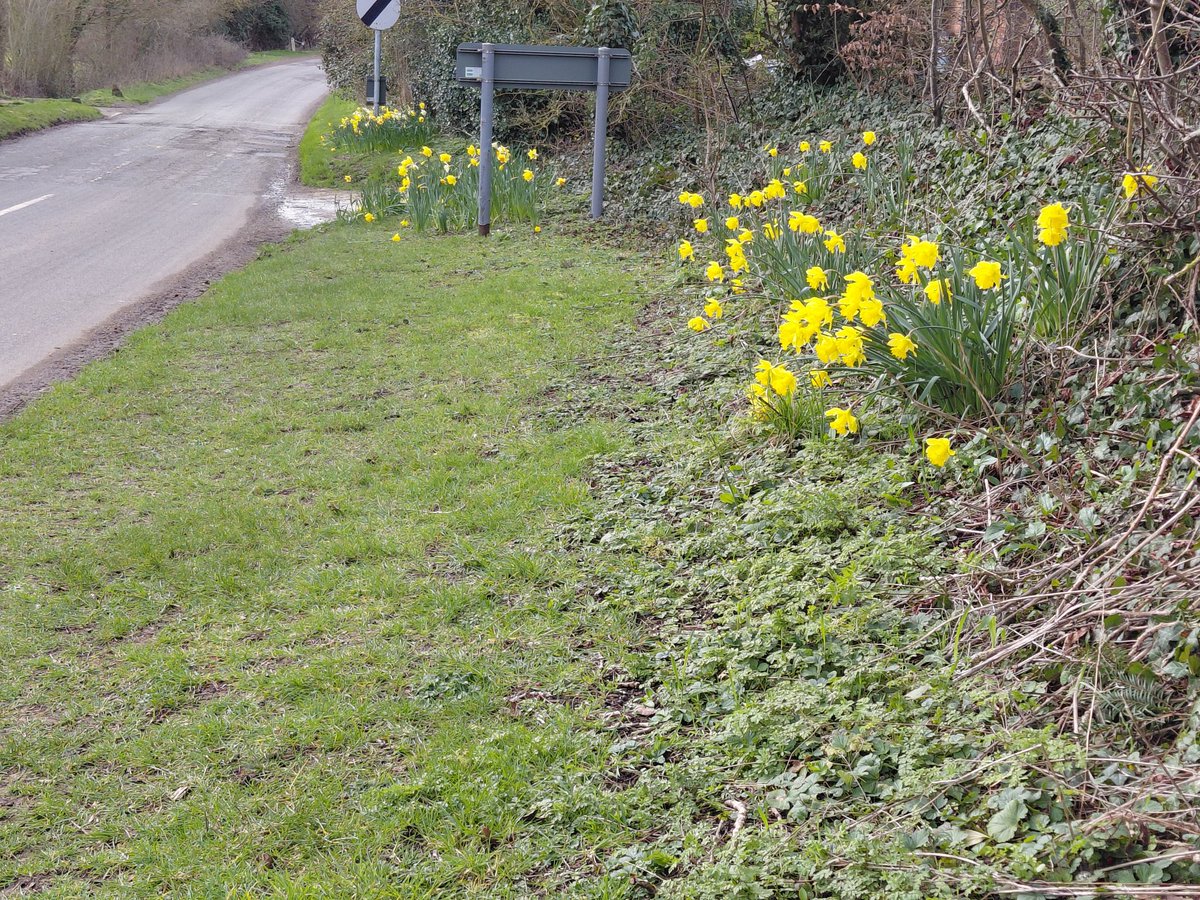 Michael Sanderson tweet media