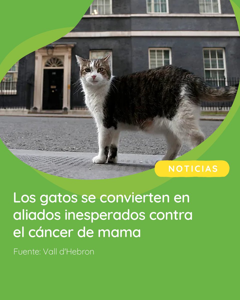 Fundació Small tweet media