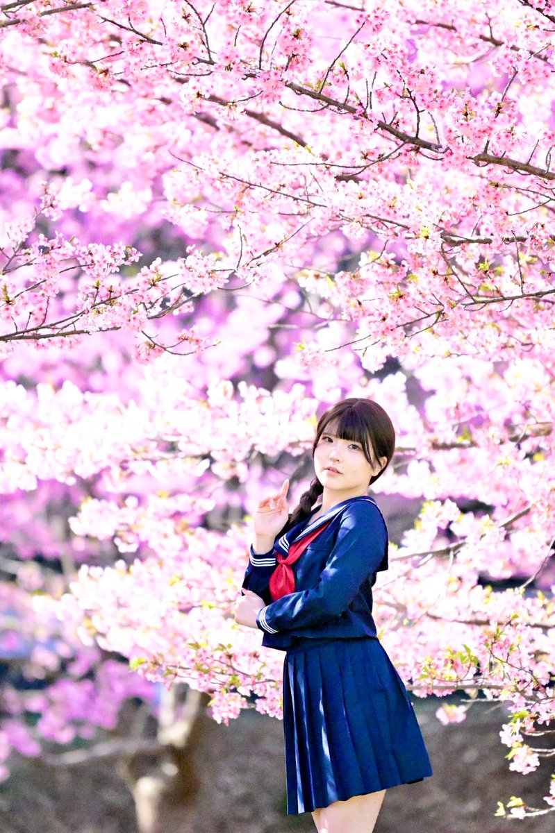 ajipon141421356's tweet photo. #ひなせ さん　@hinase_model 

#美少女  #ポートレート  #桜 🌸 https://t.co/8yxw43n0go