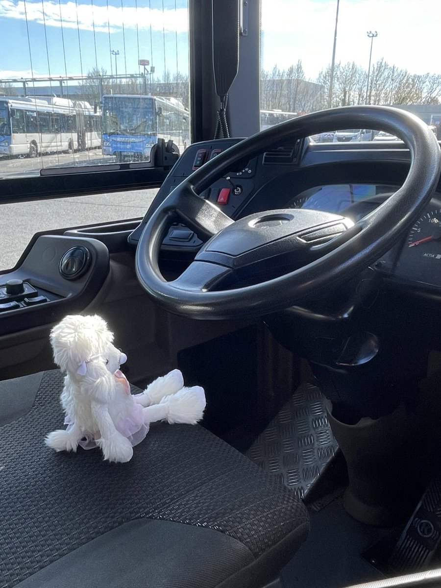 Bus Marne et Seine et Câble C1 tweet media