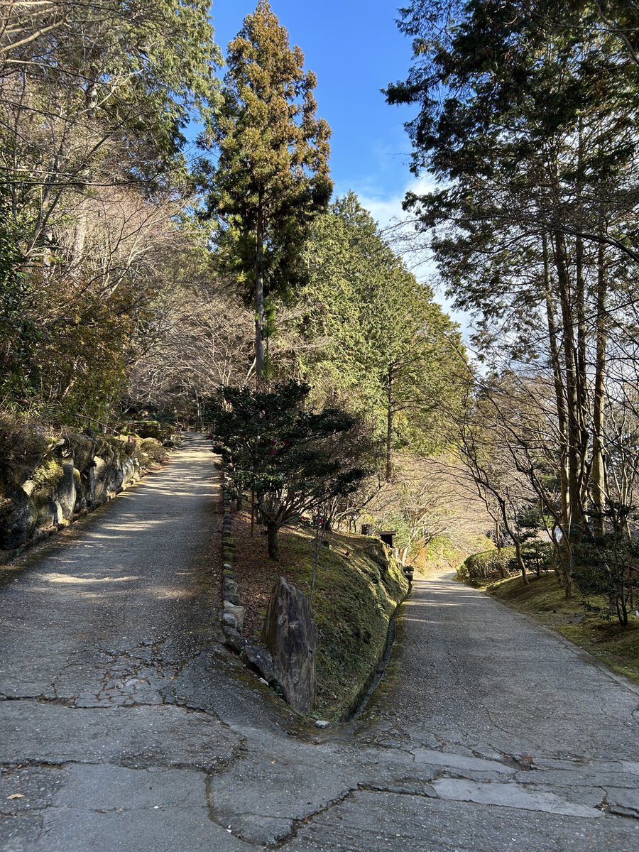101hsgc's tweet photo. 石山寺のY字路

山腹にあるお寺なので地形に沿った立体Y字路。分岐点ではなく、分岐の手前に案内板。

大津市石山寺
#Y字路 https://t.co/WKiQC57Cap