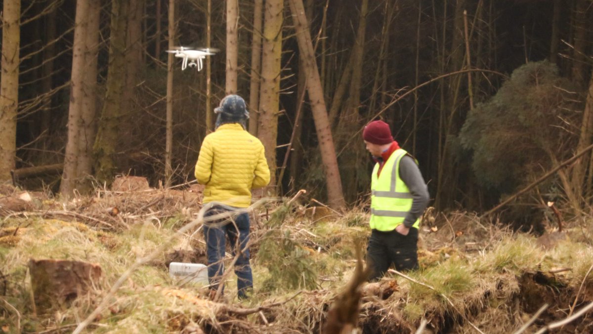 Cobblestone Learning tweet media